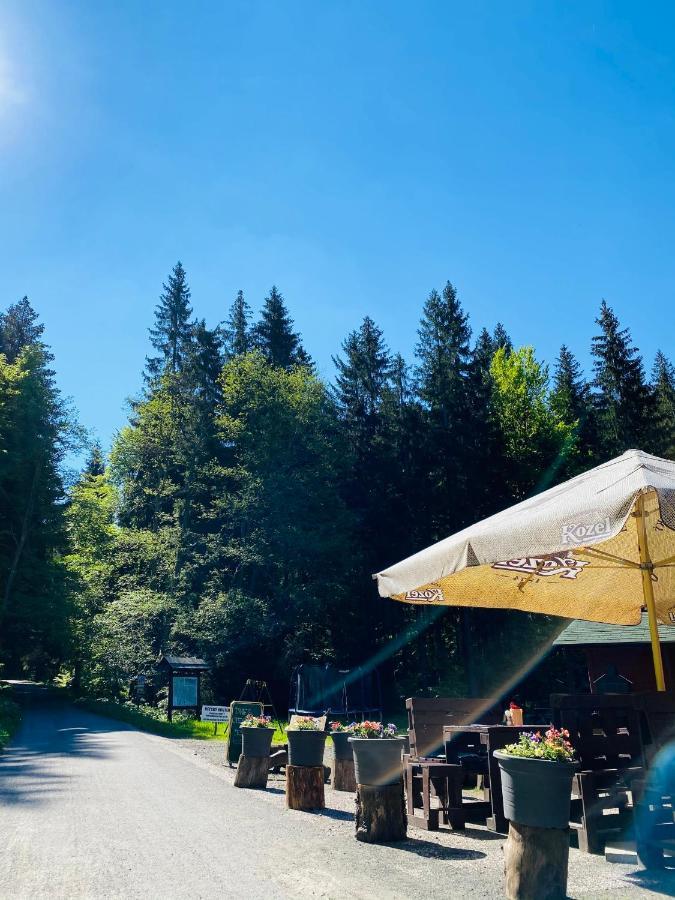 Penzion Lesni Zatisi- Harrachov Εξωτερικό φωτογραφία