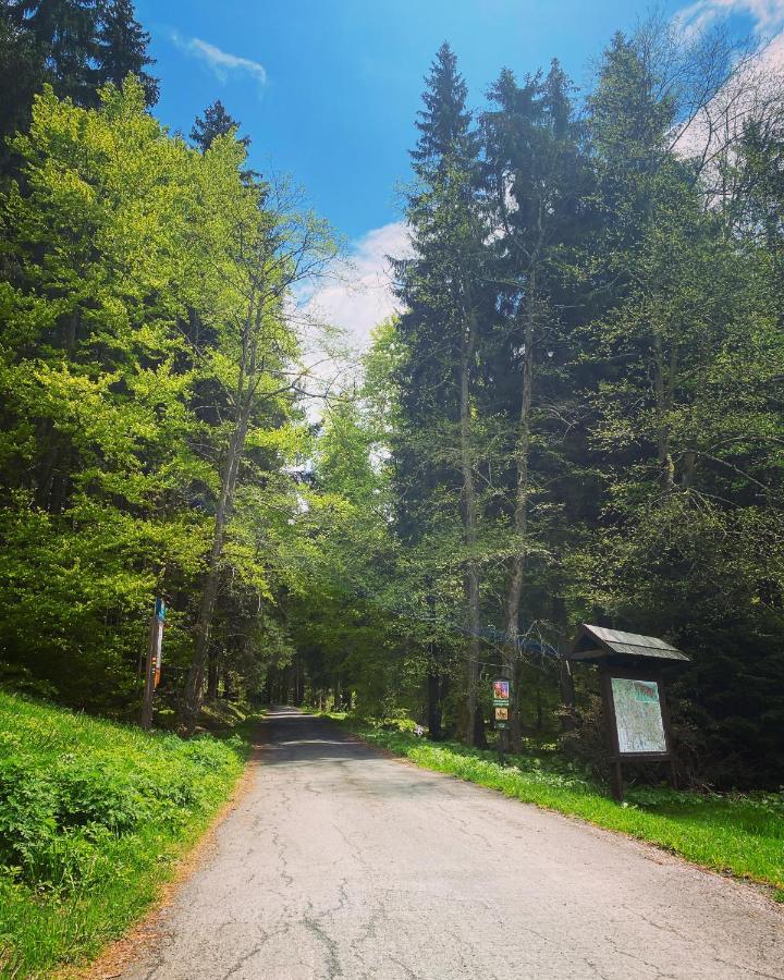 Penzion Lesni Zatisi- Harrachov Εξωτερικό φωτογραφία