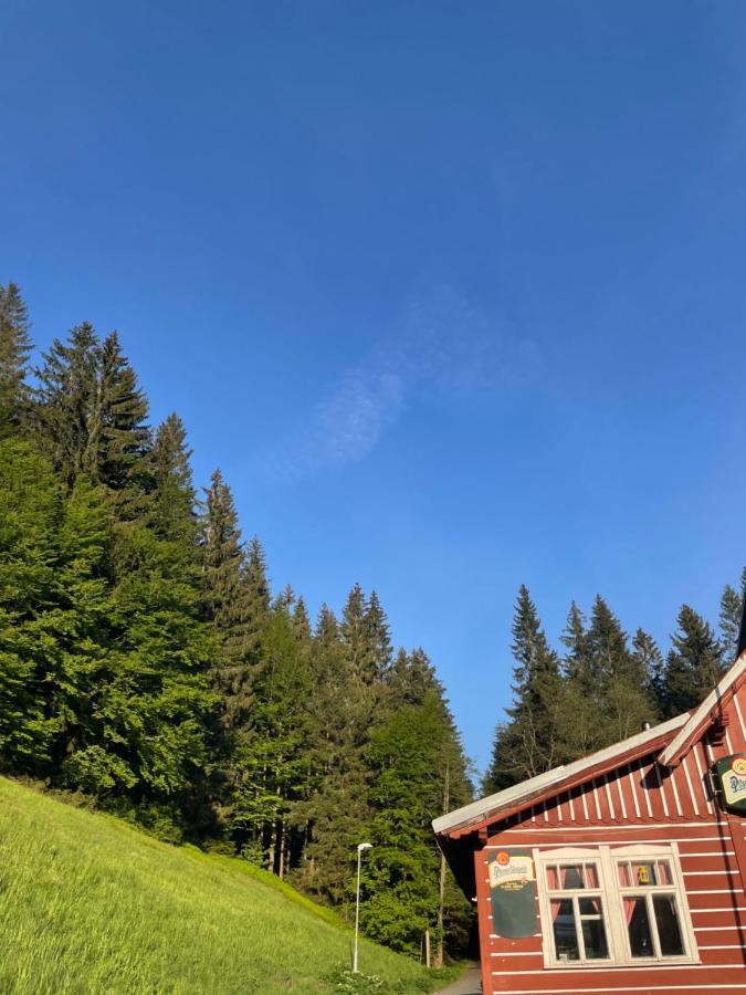 Penzion Lesni Zatisi- Harrachov Εξωτερικό φωτογραφία
